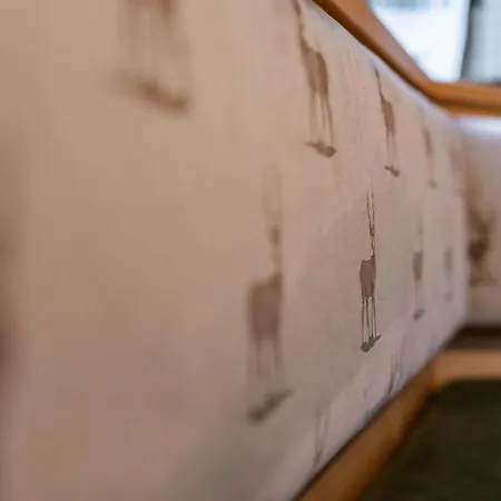 Holzknechthuette בית נופש